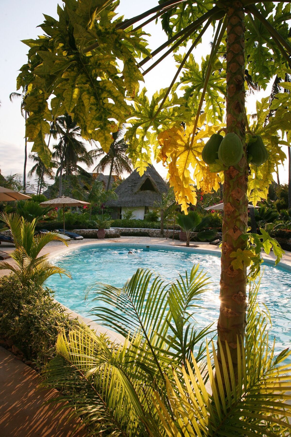 Sevi Boutique Zanzibar Matemwe (Zanzibar)
